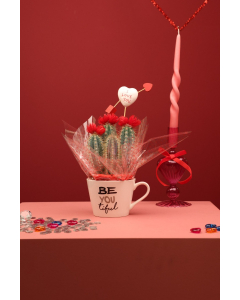 Valentine Tea Cup Cactus