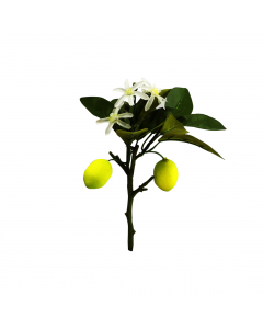 Yellow Lemon Tree Branch