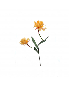 Orange Cactus Flower (120 cm)