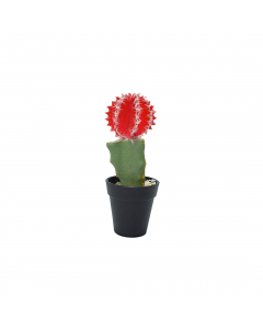 Cactus In Pot 3 Colours