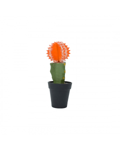 Cactus In Pot 3 Colours