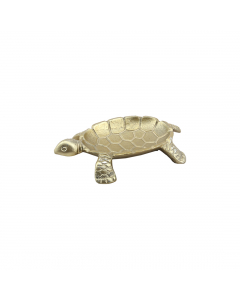 Champagne Turtle Plate