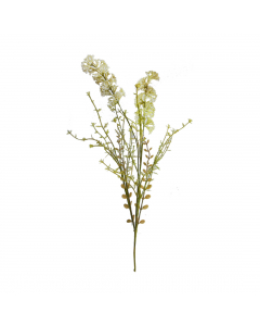 Dried-Look Erica Green S