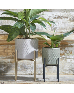 Black Ascot Plant Stand (14 cm)