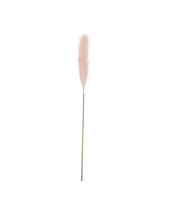 Light Pink Plume Grass (104 cm)