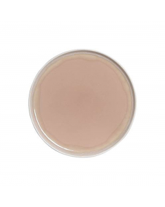 Lucco Breakfast Plate (21 cm)