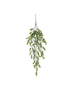 Green Hanging Boxwood (80 cm)