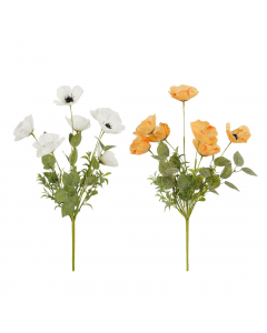 White Peach Poppy (53 cm) - Each At