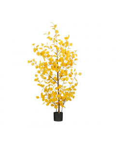 Yellow Eucalyptus In Pot (150cm)