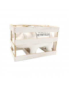 RM Money Saver (25 cm)