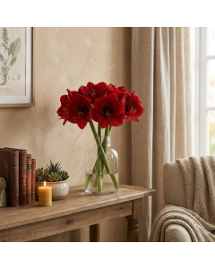 Red Real Touch Amaryllis (61 cm)