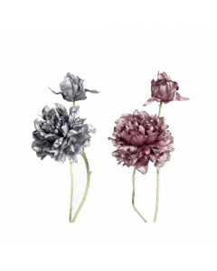 Assorted Peony With Open Bud (61 cm) Each At