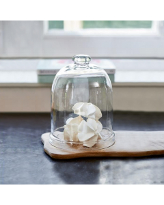 RM Glass Dome (22.60 cm)