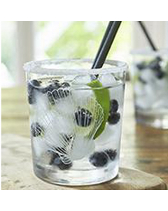 RM Treasure Of The Sea Shell Glass (10 cm)