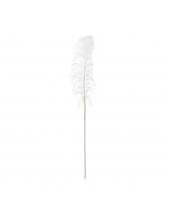 White Decorative Feather