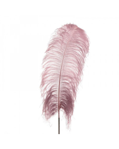 Pink Feather (95 cm)
