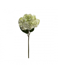Cream Hydrangea (60 cm)