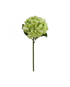 Green Hydrangea (60 cm)