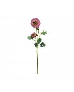 Lavender Ranunculus With Bud (70 cm)