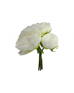 Cream Peony Bouquet 3 Flowers