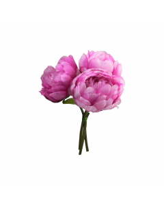 Lavender Peony 3 Flowers