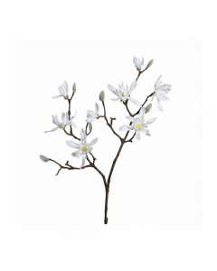 Cream Magnolia Branch With 9 Flowers (98 cm)
