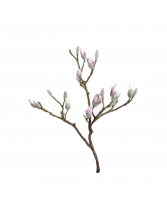 Rosee Magnolia Branch (93 cm)