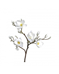 Cream Magnolia Branch (93 cm)