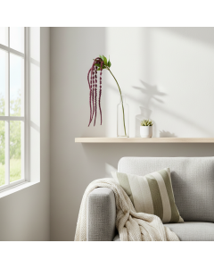 Burgundy Amaranthus Hanging Spray (122 cm)