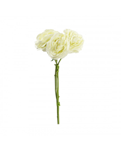 Cream Ranunculus (44 cm)
