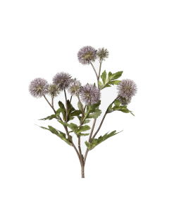 Mauve Ball Thistle (56 cm)