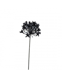 Black Agapanthus Stem (72 cm)