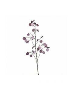Aubergine Lunaria Twig (125 cm)