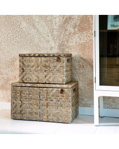 RM Port Barton trunk L58cm