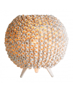 Large Fir Wood Table Lamp