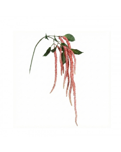 Fuchsia Amaranthus Hanger (135 cm)