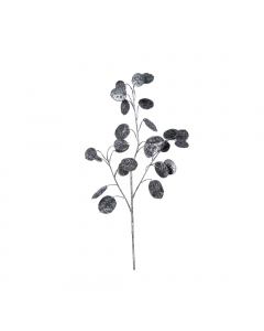 Black Lunaria Spray (66 cm)