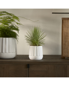 RM Let It Grow Planter S