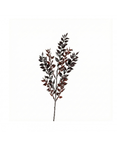 Brown Ruscus Spray (47 cm)