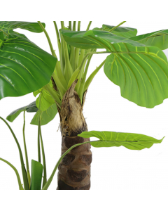 Philodendron Plant (140 cm)
