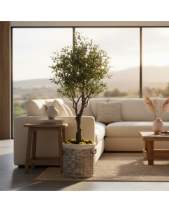 Olive Tree In Pot (190 cm)
