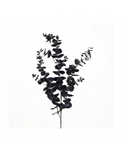 Black Eucalyptus Branch (102 cm)