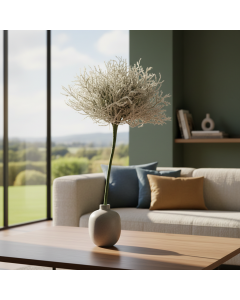 Calocephalus Pick (24 cm)