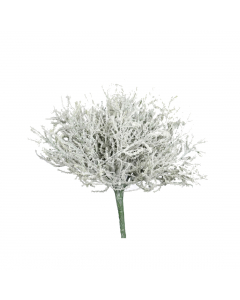 Calocephalus Pick (24 cm)