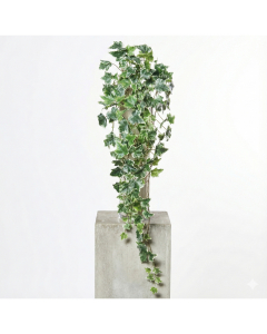 White Green Ivy Hanger (80 cm)