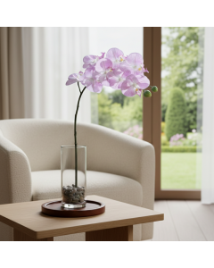 Lavender Lilac Naturel Orchid Phalaenopsis (80 cm)