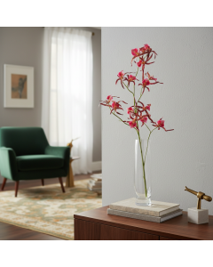 Pink Spider Orchid (105 cm)