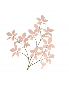 Champagne Silk Elder Leaf (124 cm)