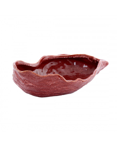 Kalako Coral Ceramics Dish (10 cm)