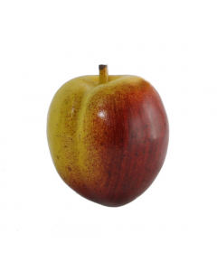 Nectarine